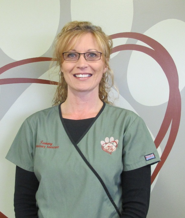 Tammy Hileman Veterinarian and Animal Hospital in Minster, OH