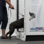 AquaPawsSS_low_entry